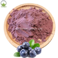 Best quality blueberry fruit juice powder